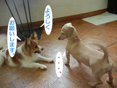 DSCN1766.JPG