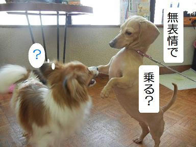DSCN1735.JPG