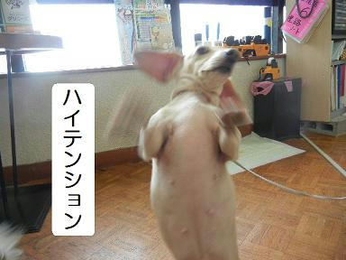 DSCN1777.JPG