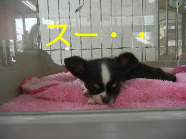 DSCN1823.JPG