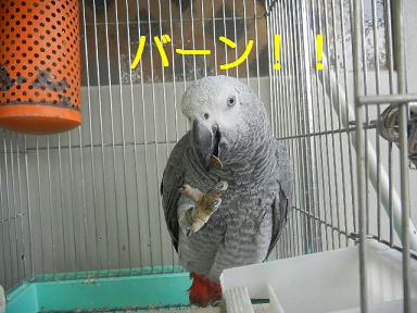 DSCN1813.JPG