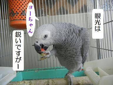 5640d283.jpeg