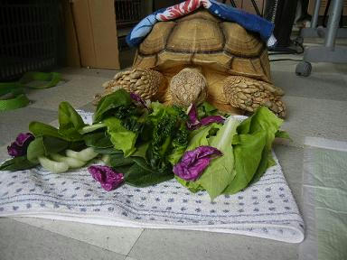 DSCN1826.JPG