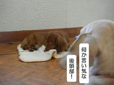 DSCN2116.JPG