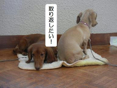 DSCN2111.JPG