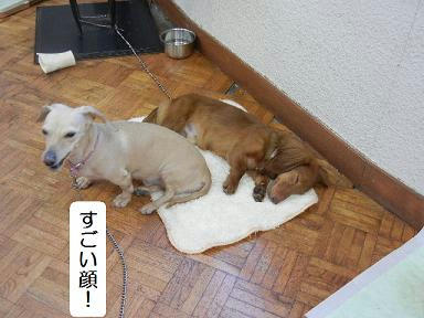 DSCN2120.JPG