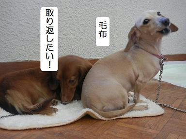 DSCN2098.JPG