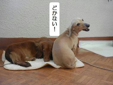 DSCN2096.JPG