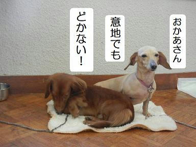 DSCN2085.JPG