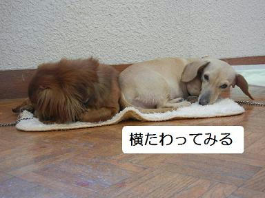 DSCN2105.JPG