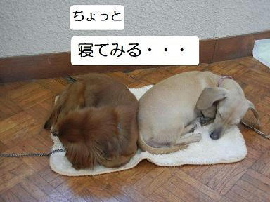 DSCN2104.JPG