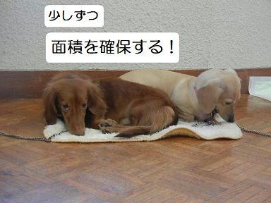 DSCN2087.JPG