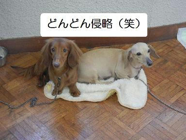 DSCN2083.JPG