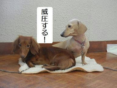DSCN2086.JPG