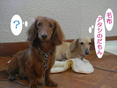 DSCN2081.JPG