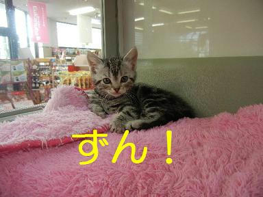 DSCN2128.JPG
