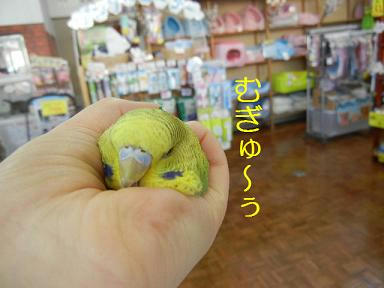 DSCN2066.JPG