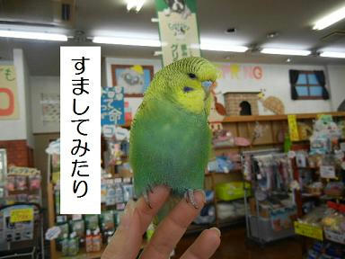 DSCN2050.JPG