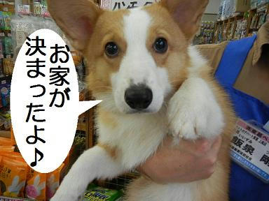 DSCN2121.JPG