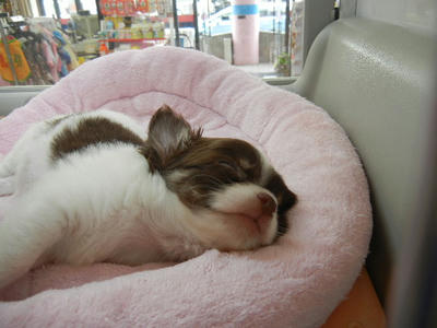 DSCN2253.JPG