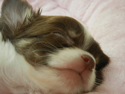 DSCN2254.JPG