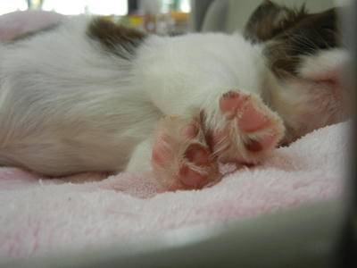 DSCN2256.JPG