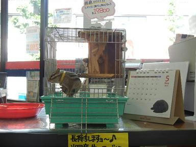 DSCN2283.JPG