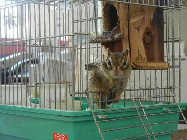 DSCN2288.JPG
