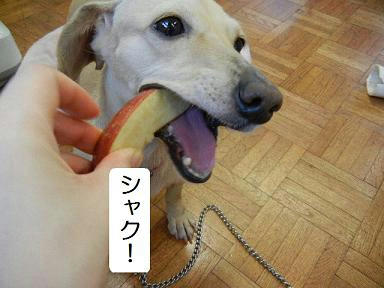 DSCN2471.JPG