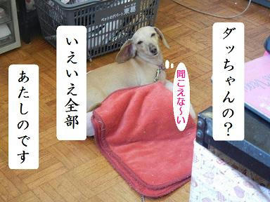 DSCN2364.JPG