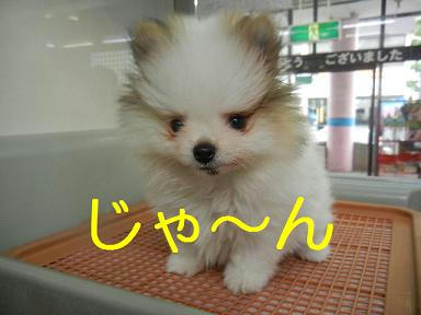 DSCN2582.JPG