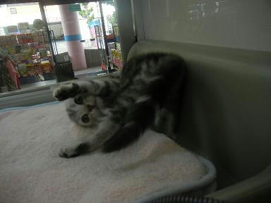 DSCN2676.JPG