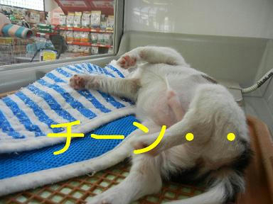 DSCN2717.JPG