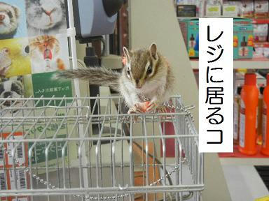 DSCN2624.JPG