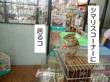 DSCN2640.JPG