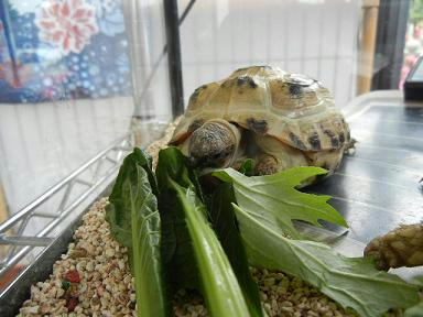 DSCN2805.JPG