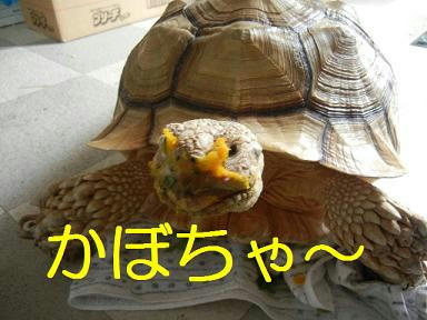 DSCN2862.JPG