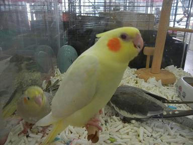DSCN2930.JPG
