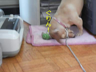 DSCN2946.JPG