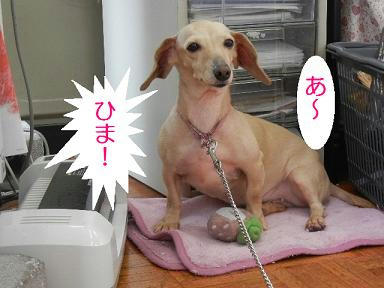 DSCN2945.JPG
