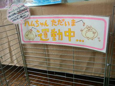 DSCN2953.JPG
