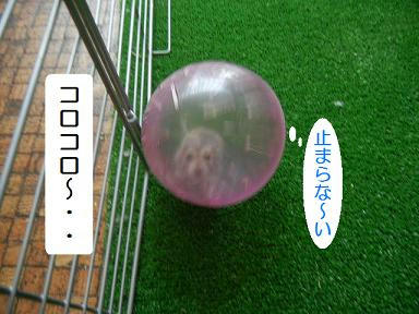 DSCN2967.JPG