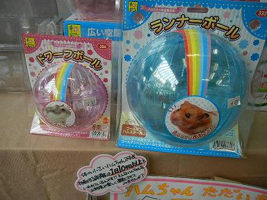 DSCN2972.JPG