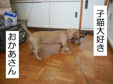 DSCN2990.JPG