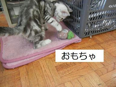 DSCN3025.JPG