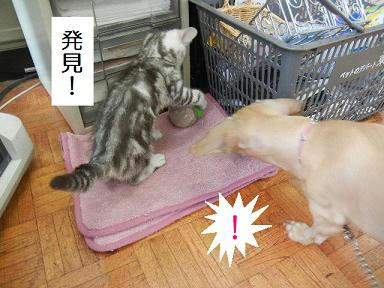DSCN3032.JPG