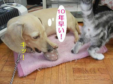 DSCN2995.JPG