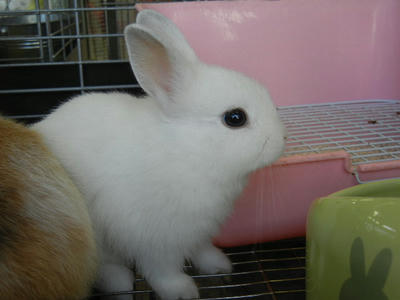 DSCN3129.JPG