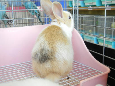 DSCN3130.JPG
