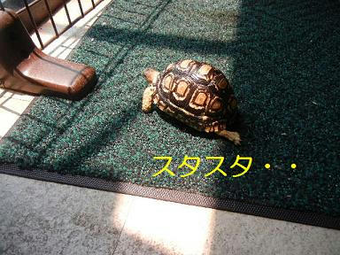 DSCN3151.JPG
